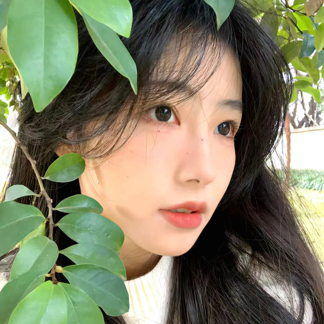 芳心的放纵