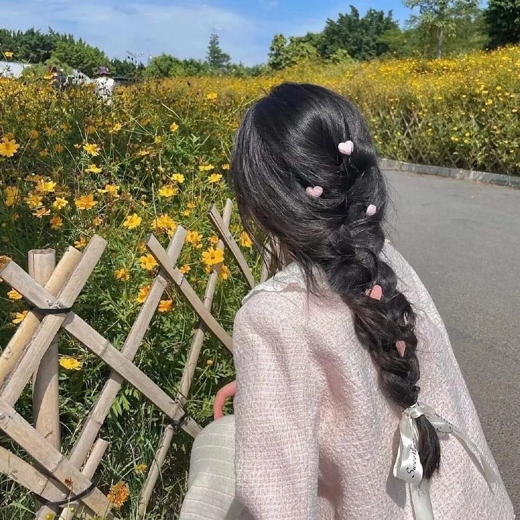 虎尾兰之梦